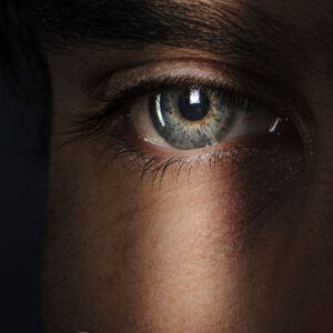 Catchlight 2
