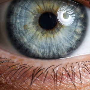 Eye Irises