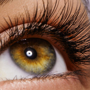 Eyelash