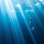 Light Rays 2