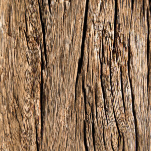 Rough Wood