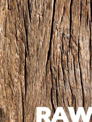 Rough Wood